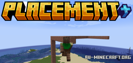  Placement  Minecraft 1.20.1