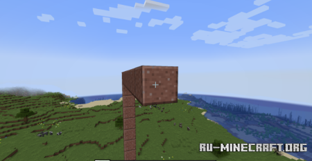  Placement  Minecraft 1.20.1