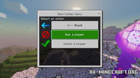        Minecraft PE 1.21