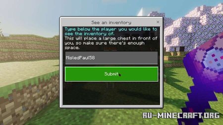        Minecraft PE 1.21
