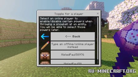        Minecraft PE 1.21