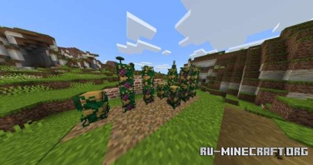 ������� ����������� �� ����� ������ ��� Minecraft PE 1.21