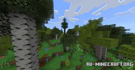 ������� ����������� �� ����� ������ ��� Minecraft PE 1.21