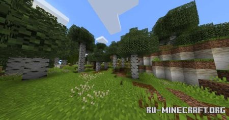 ������� ����������� �� ����� ������ ��� Minecraft PE 1.21