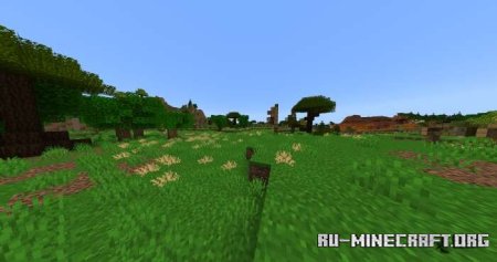 ������� ����������� �� ����� ������ ��� Minecraft PE 1.21