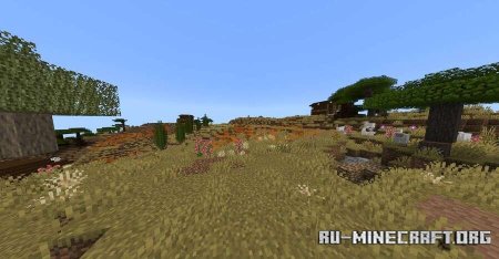 ������� ����������� �� ����� ������ ��� Minecraft PE 1.21