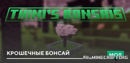 ������� ��������� ������ ��� Minecraft PE 1.21