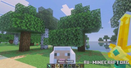 ������� ��������� ������� ��� Minecraft PE 1.21
