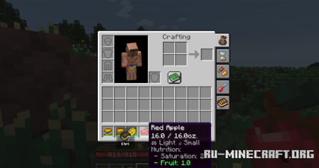 ������� Decay 2012 ��� Minecraft 1.21.1
