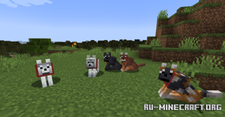 ������� Wolf Port ��� Minecraft 1.20.4