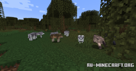 ������� Wolf Port ��� Minecraft 1.20.4
