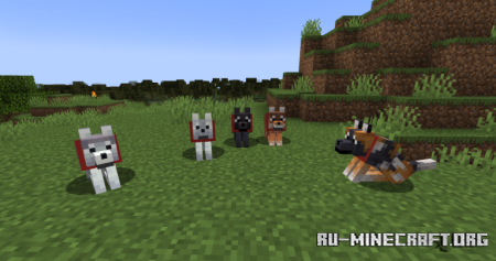 ������� Wolf Port ��� Minecraft 1.20.4