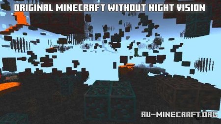 ������� X-Ray � ���������� ����� ��� Minecraft PE 1.21