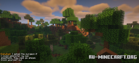 ������� Daily Dad ��� Minecraft 1.21.10