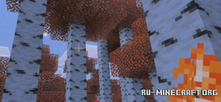 ������� ������������ ������� ��� Minecraft PE 1.21