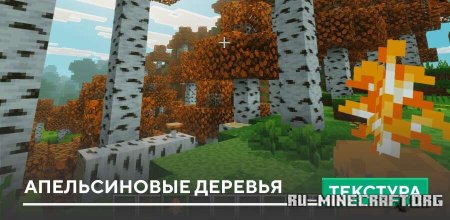 ������� ������������ ������� ��� Minecraft PE 1.21
