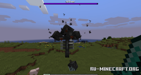 ������� Limited Damage Indicator Particle ��� Minecraft 1.21.4