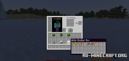 ������� Peek ��� Minecraft 1.21.11