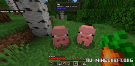 ������� �� ��� � ����� ��� Minecraft PE 1.21