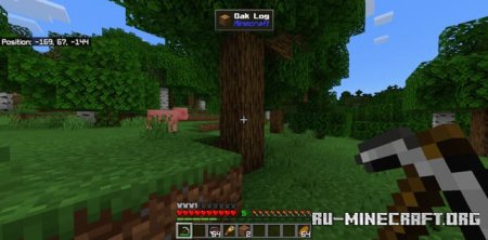 ������� �� ��� � ����� ��� Minecraft PE 1.21