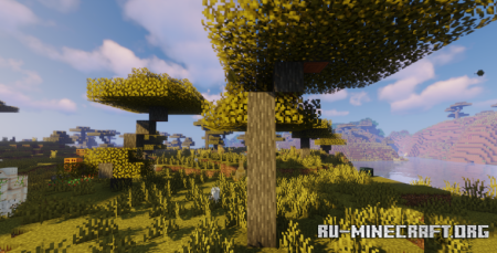 ������� Shadify ��� Minecraft 1.21.11