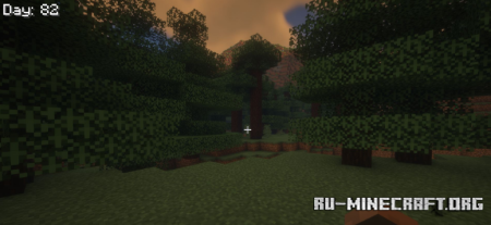 ������� Day Count ��� Minecraft 1.21.11