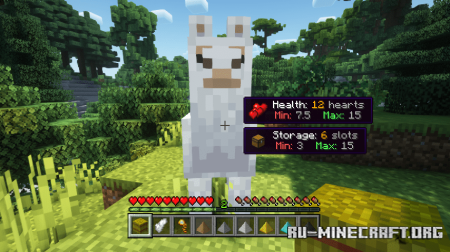 ������� Horse Expert ��� Minecraft 1.21.11