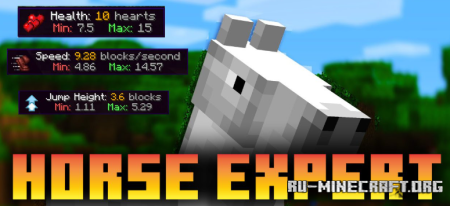 ������� Horse Expert ��� Minecraft 1.21.11