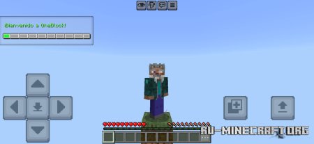 ������� Random OneBlock ��� Minecraft PE