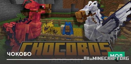 ������� ������ ��� Minecraft PE 1.21