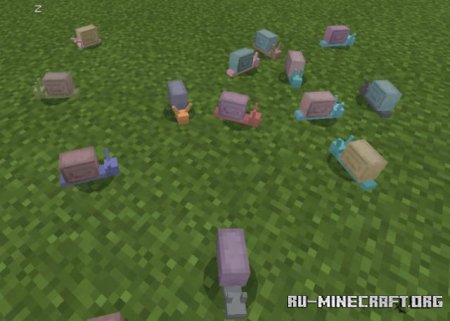 ������� ����� ���������� ���� ��� Minecraft PE 1.21