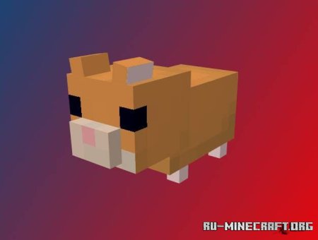 ������� ����� ���������� ���� ��� Minecraft PE 1.21