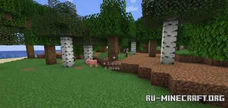 ������� Axiom ��� Minecraft 1.21.11