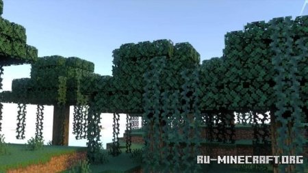 ������� ���������� ������� ��� Minecraft PE 1.21