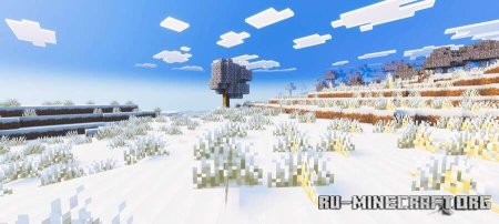 ������� ������ ����������� ��������� ��� Minecraft PE 1.21