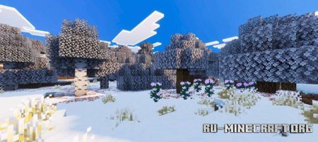 ������� ������ ����������� ��������� ��� Minecraft PE 1.21