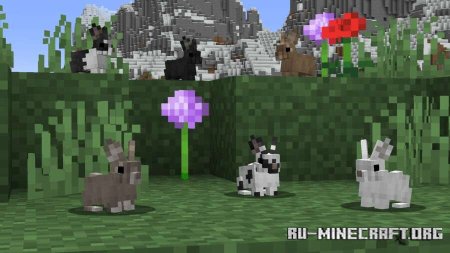 ������� ���������� ������� ����� ��� Minecraft PE 1.21