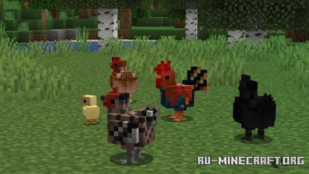 ������� ���������� ������� ����� ��� Minecraft PE 1.21