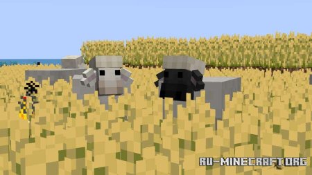 ������� ���������� ������� ����� ��� Minecraft PE 1.21