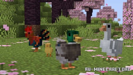 ������� ���������� ������� ����� ��� Minecraft PE 1.21
