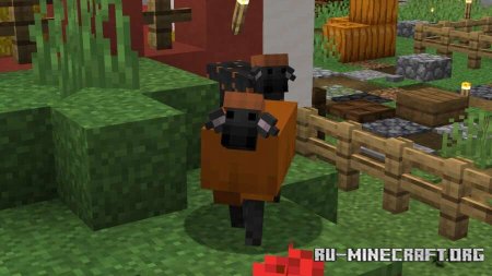 ������� ���������� ������� ����� ��� Minecraft PE 1.21