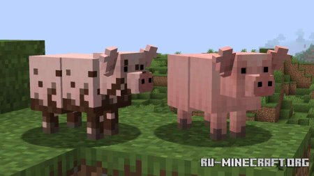 ������� ���������� ������� ����� ��� Minecraft PE 1.21