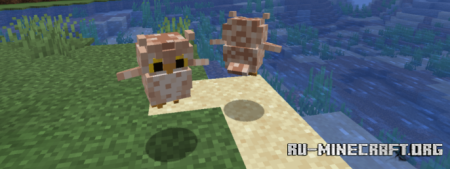 ������� Animal Garden Owl ��� Minecraft 1.21.11