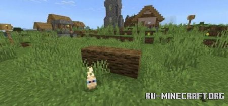 ������� ������� � ����� ����� ��� Minecraft PE 1.21
