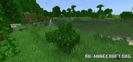 ������� ������� � ����� ����� ��� Minecraft PE 1.21
