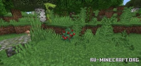 ������� ������� � ����� ����� ��� Minecraft PE 1.21