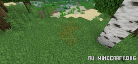 ������� ������� � ����� ����� ��� Minecraft PE 1.21