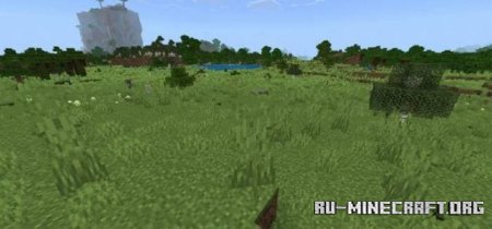 ������� ������� � ����� ����� ��� Minecraft PE 1.21