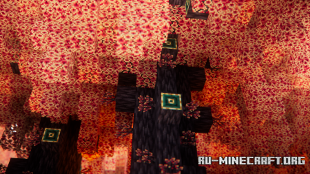 ������� Oh The Biomes We�ve Gone ��� Minecraft 1.21.11