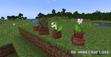 ������� Fresh Flower Pots: Rotated ��� Minecraft 1.21.11